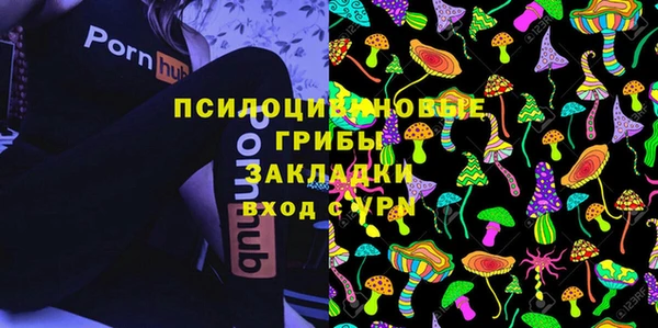дурь Абаза