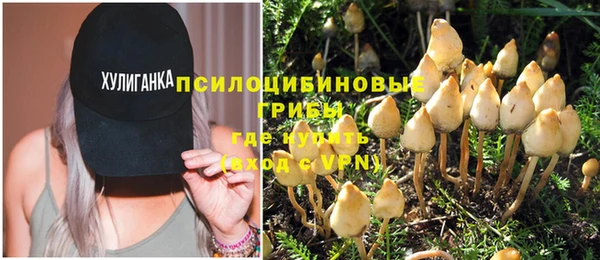 spice Алзамай